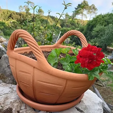 Casa de Férias Quinta Do Castelo, Madeira Olho Marinho