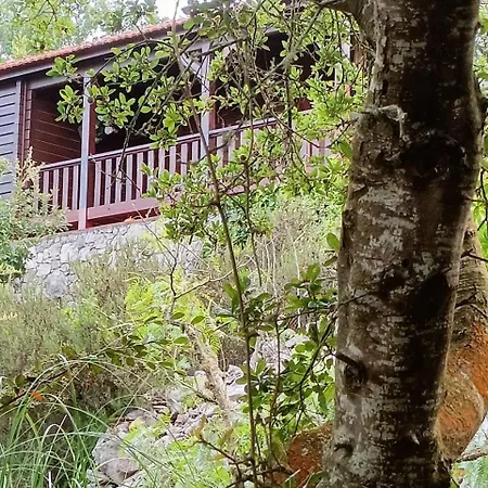 Casa de Férias Quinta Do Castelo, Madeira Olho Marinho