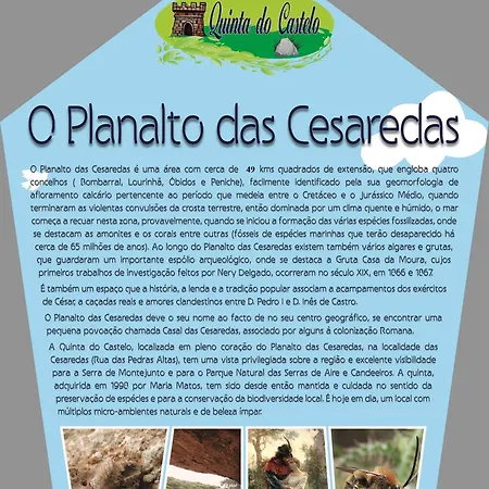 Casa de Férias Quinta Do Castelo, Madeira