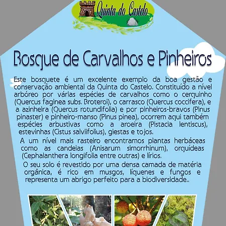 Quinta Do Castelo, Madeira Casa de Férias *