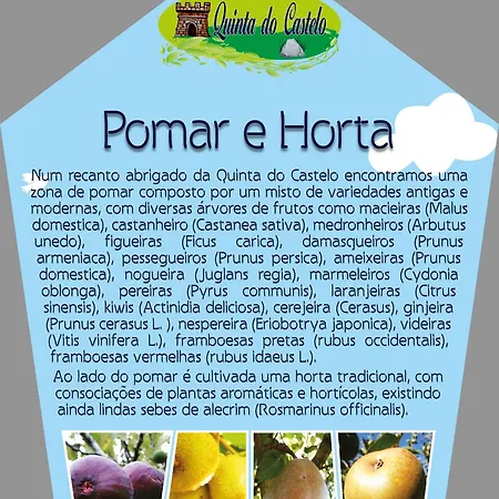 Casa de Férias Quinta Do Castelo, Madeira *